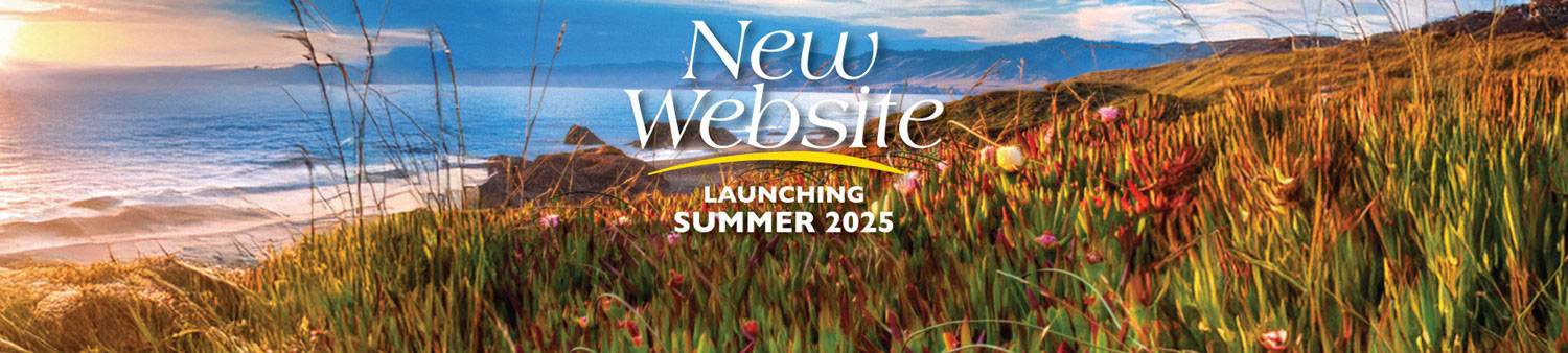New website launching summer 2025